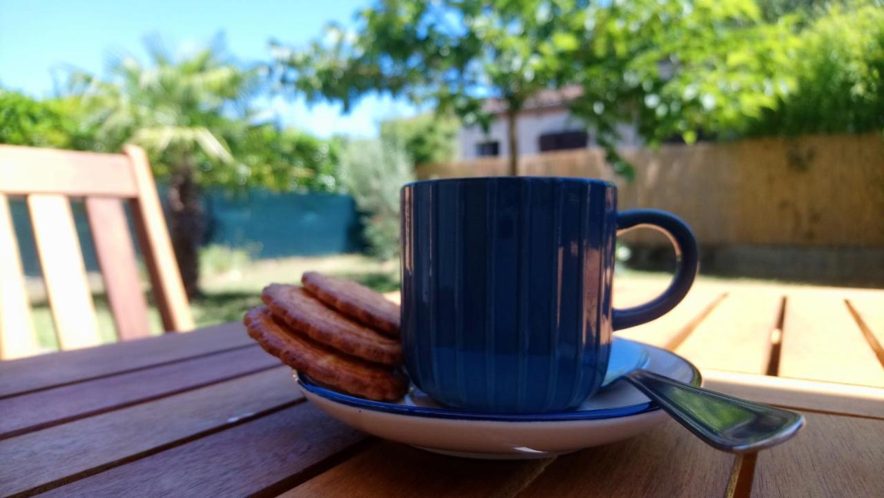 Bed and Breakfast Fleurs De Cosmos Albi Exterior foto